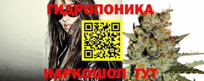 apvp Бийск