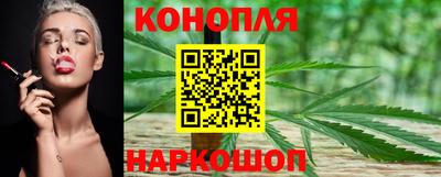 apvp Бийск