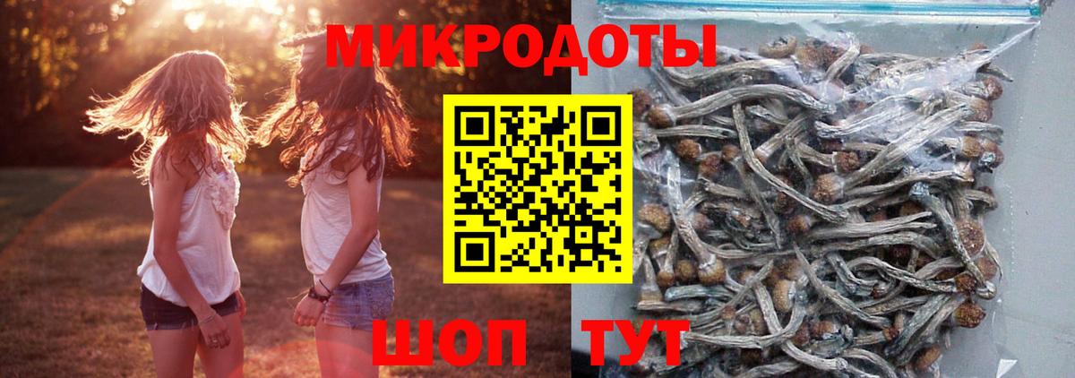 Псилоцибиновые грибы мицелий  наркотики  Ишимбай  Вход с VPN  Галлюциногенные грибы мухоморы 